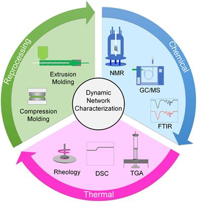 Characterization Techniques to Assess Recyclability in Dynamic Polymer Networks